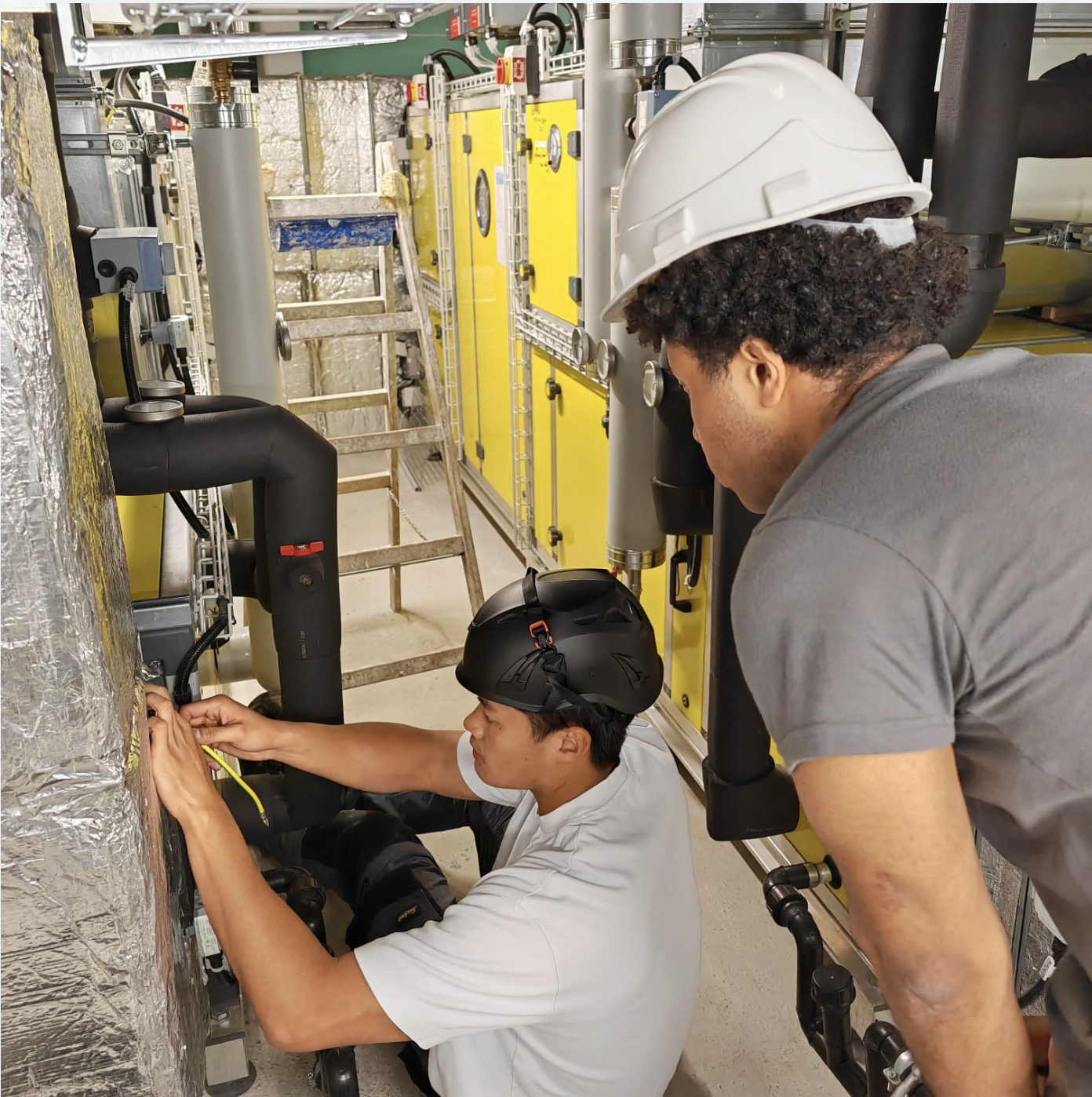 Screenshot 2024-09-21 at 15.25.26